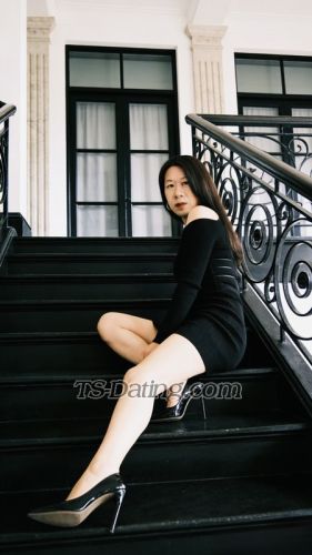 trans girl Yanglisha 8518138 trans girl Yanglisha 8518138