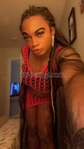 trans girl Yasminetrav 3760157 trans girl Yasminetrav 3760157