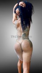 Yohandra Mallorca Transex 