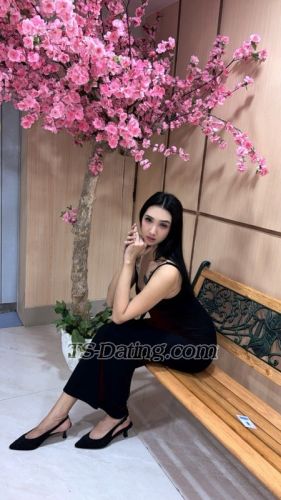 trans girl Yuki01 6159366