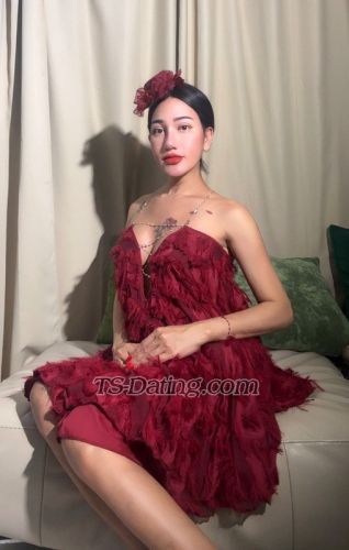 trans girl yayathetoy 9043157 trans girl yayathetoy 9043157