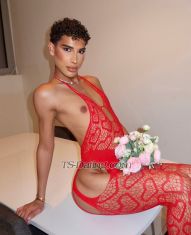 Zahiahot Paris Transex Bonjour Messieurs,𝐋𝐔𝐗𝐔𝐑𝐘
𝐅𝐑𝐄𝐍𝐂𝐇 𝐄𝐒𝐂𝐎𝐑𝐓
𝐒𝐄𝐑𝐕𝐈𝐂𝐄 Uniquement de
Passage..Offrez vous l'instant. Je suis une rareté
!🌟Incroyable FemBoy 23 ans de nationalité
Française, d'origine Marocaine et Italienne 🇲🇦
🇮🇹 . Souriante, Élégante, Cultivé et bon délire
!« La finesse d’une silhouette, l’élégance
du luxe »Doté d'une bouche pulpeuse, d'un visage de
Poupée et d'une voix Sexy.Ma silhouette est
harmonieuse et élancée, ma taille et mes fesses sont
sculptées par le sport 🍒 🪞 Toujours
apprêté, lingerie exquise, parfums envoûtants et talons
élégants... tout est pensé pour éveiller vos sens et
sublimer chaque instant.  ⚜️ MON MENU CHARNEL
:▪️ Massage sensuel à l'huile ▪️
Fellation Nature▪️ Rapport protégé toutes
positions ▪️ FrenchKiss ▪️ Domination Soft
ou Hard ▪️ Sperme buccale ou corporel▪️
Annulingus, 69, Poppers▪️ Caresses, Corps à Corps,
tétons ▪️Paroles coquines, strip-tease
🔞▪️GFE, PSE, jeux de rôle
▪️Féminisation  ▪️Accompagnement,
Soirée, Nuitée ❄️ 🥂 ❤️‍🔥 🌿
Pour les plus audacieux je réalise des Shows Cam
ou du Contenu Hot.🎥 SHOW CAM : 50 🌹
J'aime donner et recevoir du plaisir. Active et
Passive ! 🤭Mes photos sont 100% Réelles,
inutile de m'en redemander ! Je Garantis une
Discrétion Absolue. 💝🪄 UNE NOTE PERSONNELLE
Je suis sélective. L'élégance, le respect et la
bonne énergie sont essentiels.L'hygiène est
primordiale pour moi, attitude négligée sera
refusée.J'attend de vous une brève présentation
lors de la prise de contact, J’apprécie les hommes
courtois, élégants… 👔⚠️  Je Reçois ou
me Déplace toujours dans des lieux de standing — Privés,
Sécurisés et Discret — avec salle d’eau a disposition
🚿 Dédiée à mon activité je ne conserve ni espèces ni
objets de valeur..⛔ Je BLACKLIST ⛔️ les
messages :de négociation, irrespectueux, ou les
rendez-vous non honorés sans prévenir. Merci de
respecter mon standing : je ne permets pas les propositions
à 50,60 !Retrouvez moi sur X :
zahiahotDans l’attente de vous lire…Zahia
💋Votre rêve éveillé dans un monde trop
ordinaire.
