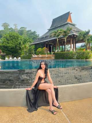 trans girl Zanksy 2633364 trans girl Zanksy 2633364