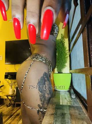 trans girl Zarakhan22 2693487 trans girl Zarakhan22 2693487