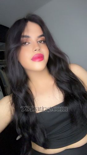 trans girl Zayanzoz 8119025 trans girl Zayanzoz 8119025