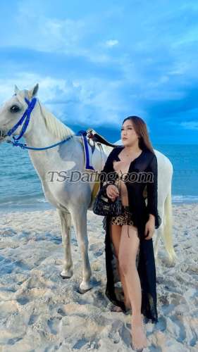 trans girl Zazyzix 4862321 trans girl Zazyzix 4862321