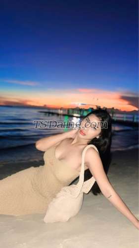 trans girl ZebbyDom 5588067 trans girl ZebbyDom 5588067