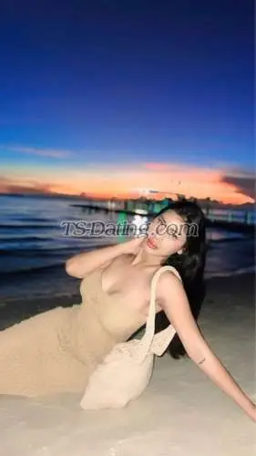 Shemale ZebbyDom 5588067 Shemale ZebbyDom 5588067