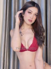 Zinni Mumbai Transex Hello Gentlemen,  it's me zinni,  new to the city .    
           Are you looking for classy, real petite, sexy
body , cute and companion with a suprise?  I am
here to guarantee unforgettable satisfaction in a more
intimate relationship. You stop at my profile is the right
choice to convey it.Feel free to message
me...Let's play a quality time with me….For
more complete information about the service, contact my
WhatsApp number ……*I am pure bottom , sometimes I
try top too*       *  Don,t be sad darling I,m here to
bring you the happiness **For sure appointment only.
