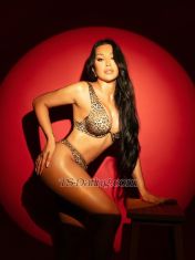 Zoe Zagreb Transex Hi,I’m Zoe, the hottest trans, just arrived in zagreb
straight from Venezuela, a young lady, 26 years old, great
body. Big breast, fine waist e big bum are the
natural curves that will drive you crazy.I have a hot
surprise between my legs, powerful and always erect for you.
I’m 100% versatile girl (top&bottom) very complete lover,
I offer rimming  and kisses with tongues.I’m
willing to please all your dreams and fantasies that you
have kept hidden, I will  get your dream come true.  Get
ready to enjoy the most real sex.I am very naughty
and passionate.I love to feel your tongue warm all over my
body.  I’m always available.I have my
private and discreet apartment.I accept any payment
methods ..!!I love parties and fantasies . my
photos are 100 real come to check it.