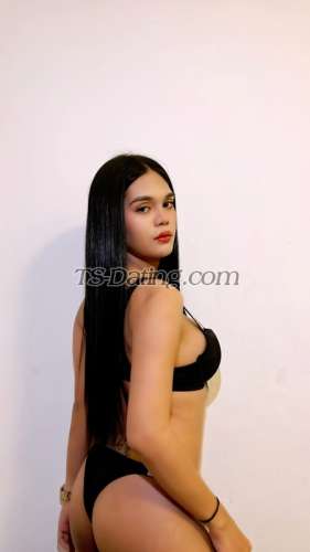 trans girl ZoeyAlawi 4112959 trans girl ZoeyAlawi 4112959