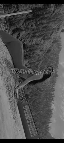 trans girl Zoya142 5645817