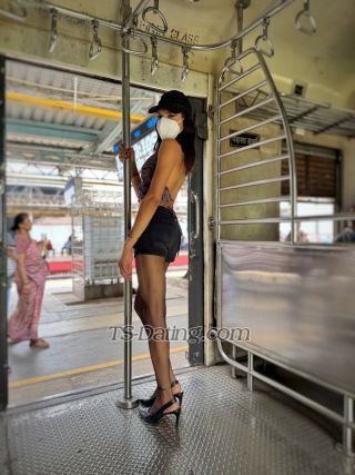 trans girl ZoyaDoll 4348602 trans girl ZoyaDoll 4348602