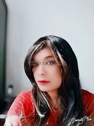 trans girl zoyaa4u 2379111 trans girl zoyaa4u 2379111