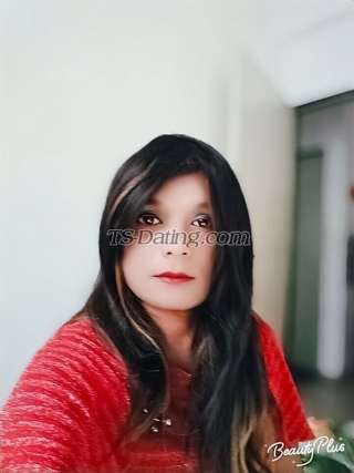 trans girl zoyaa4u 2379225 trans girl zoyaa4u 2379225